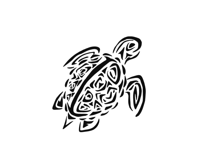 637x478 How To Draw Easy Realistic Animals Cute Easy Turtle Drawing Unique - Realistic Turtle Drawing