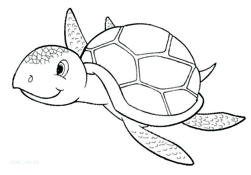 850x594 Sea Turtle Coloring - Realistic Turtle Drawing