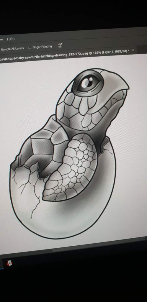 498x1024 Turtle! Art Amino - Realistic Turtle Drawing