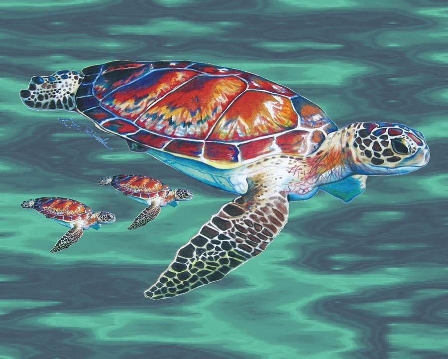Realistic Turtle Drawing at PaintingValley.com | Explore collection of