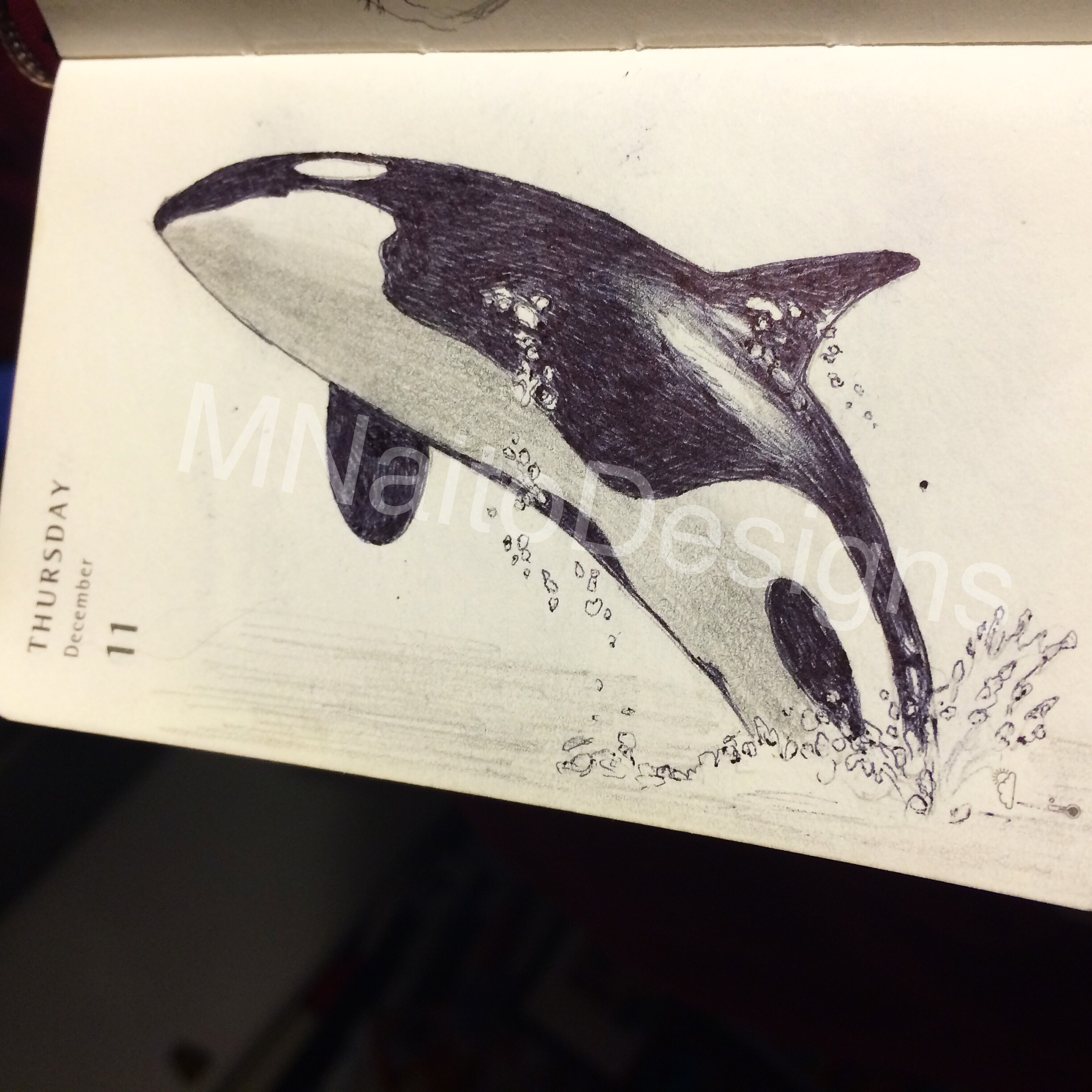 Realistic Whale Drawing at Explore collection of