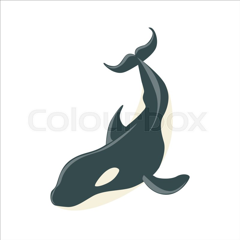 800x800 orca black and white arctic killer stock vector colourbox - Realistic Whale Drawing