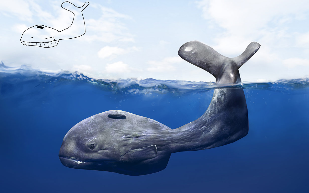 1240x775 What Would Children's Drawings Look Like In Real Life - Realistic Whale Drawing