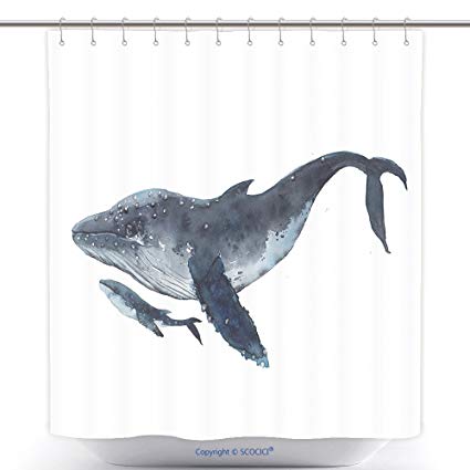 425x425 vanfan cool shower curtains watercolor humpback whales - Realistic Whale Drawing