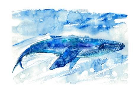 473x315 Big Blue Whale And Water Watercolor Hand Drawn Illustration - Realistic Whale Drawing
