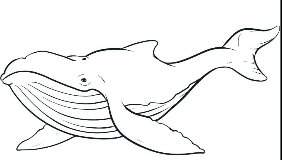 960x544 Coloring Pages For Kids Online Printable Mandala Unicorn - Realistic Whale Drawing