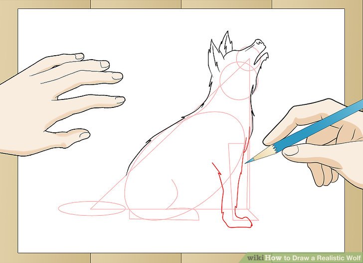 728x529 How To Draw A Realistic Wolf - Realistic Wolf Drawing Step By Step