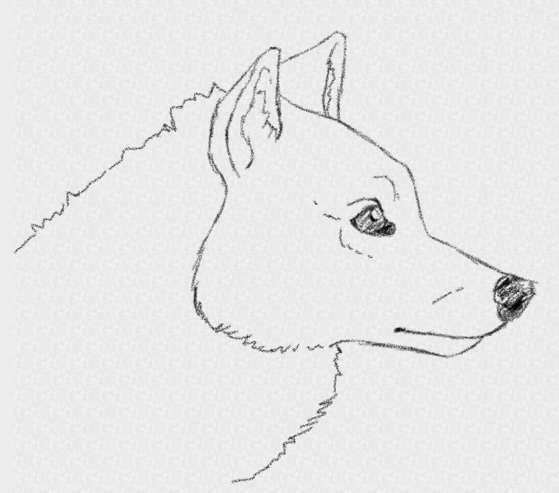 1088x960 Wolves Drawing Easy How To Draw An Easy Realistic Wolf Head - Realistic Wolf Drawing Step By Step