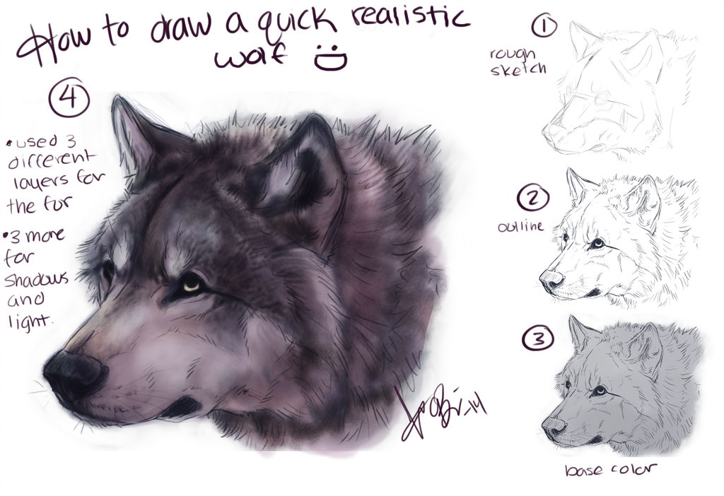 1024x702 How To Draw Realistic Wolf - Realistic Wolf Drawing Step By Step