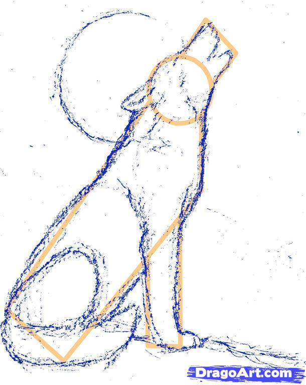 610x768 How To Draw A Howling Wolf, Step - Realistic Wolf Drawing Tutorial
