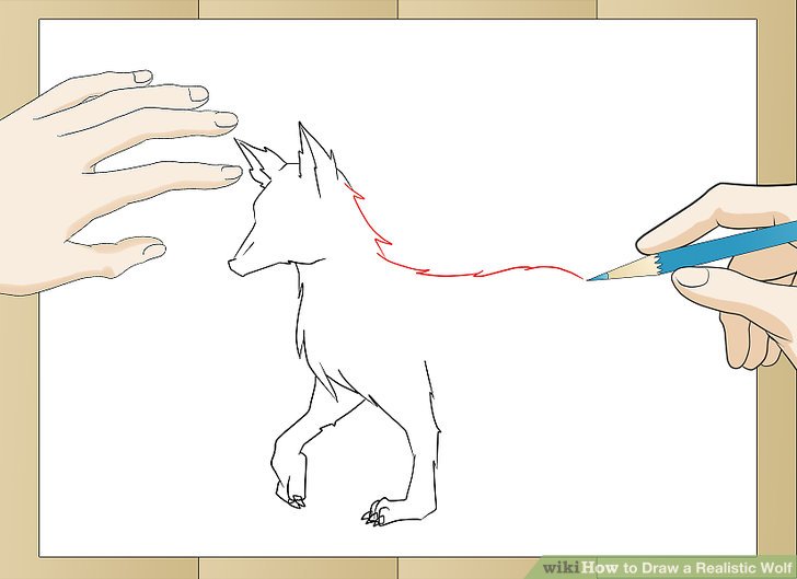 728x529 How To Draw A Realistic Wolf - Realistic Wolf Drawing Tutorial