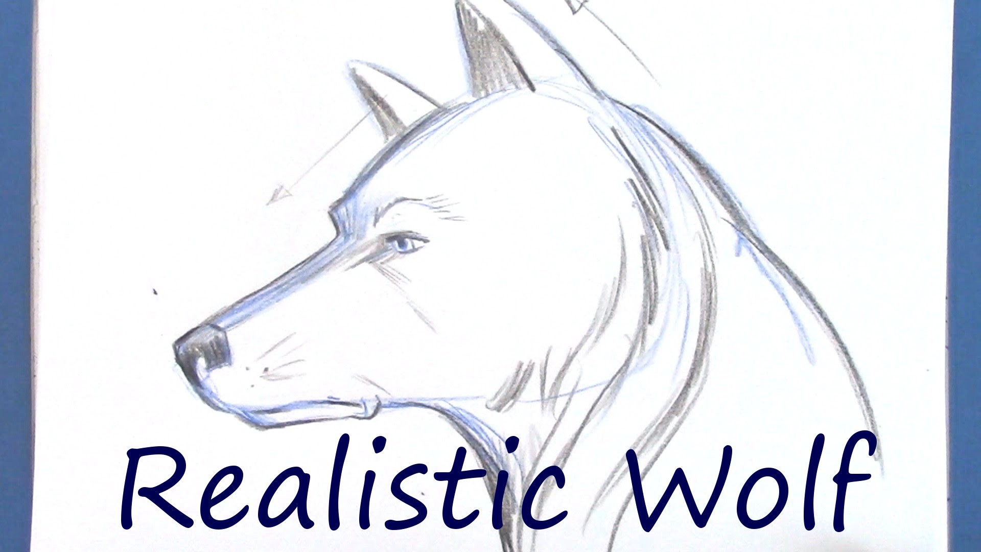 1920x1080 How To Draw A Realistic Wolf With Author Christopher Hart - Realistic Wolf Drawing Tutorial