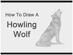 236x177 howling wolf drawing tutorial elegant realistic wolf coloring - Realistic Wolf Drawing Tutorial