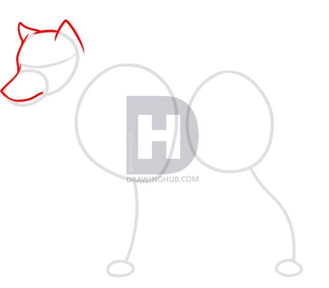 640x560 Realistic Wolf Sketch Drawing Tutorial, Step - Realistic Wolf Drawing Tutorial