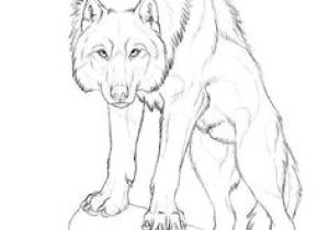 300x210 Step - Realistic Wolf Drawing Tutorial