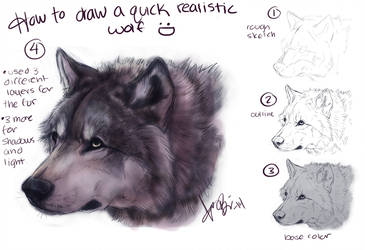 365x250 Tutorial Favourites - Realistic Wolf Drawing Tutorial