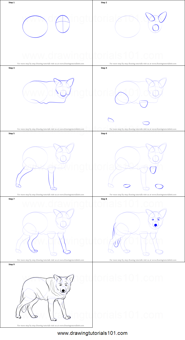 751x1376 Drawings Of Wolves Step - Realistic Wolf Drawing Tutorial