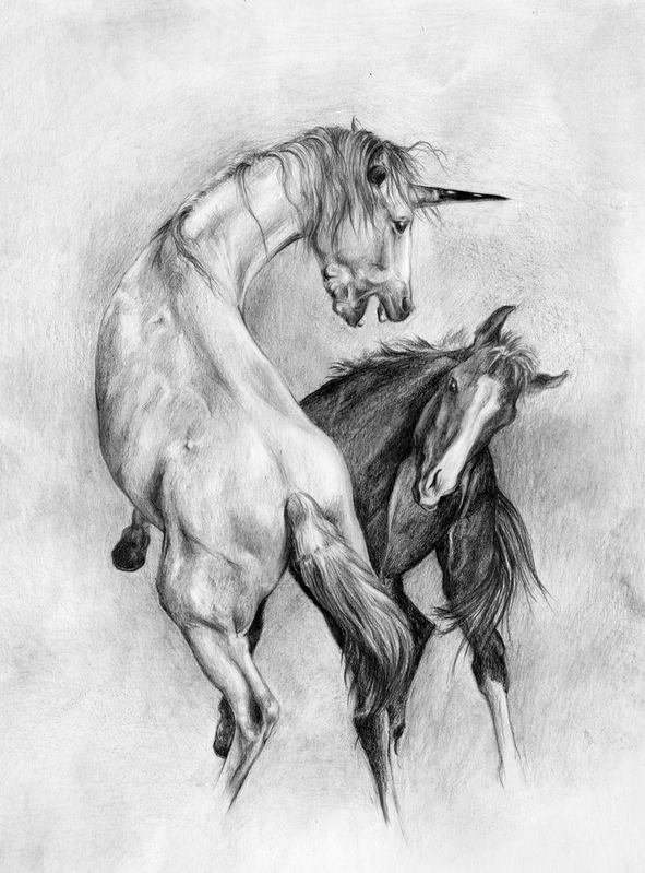 591x799 fantasy vs reality - Reality Drawing