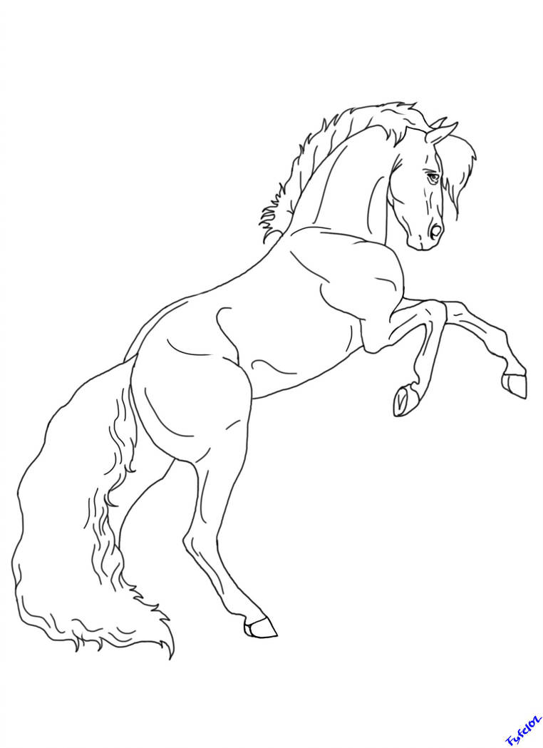 762x1049 rearing horse lines - Rearing Horse Drawing