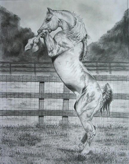 432x550 rearing horse painting - Rearing Horse Drawing