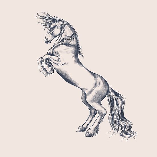 550x550 rearing horse in dark ink on neutral posters - Rearing Horse Drawing