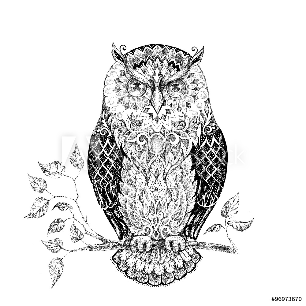 1000x1000 recess fitting drawing owl with beautiful patterns - Recess Drawing