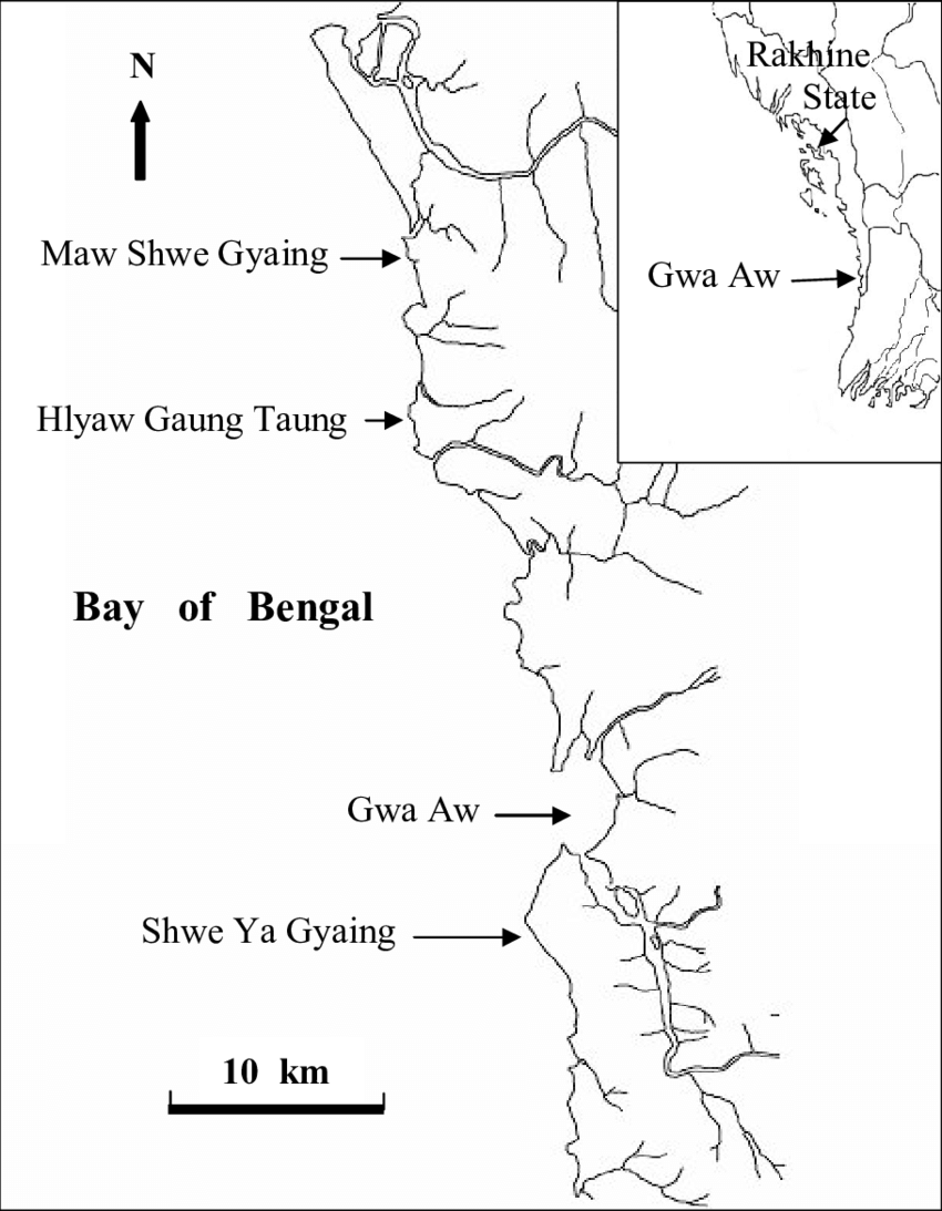 850x1093 map showing the collection sites of the marine benthic red algae - Red Algae Drawing