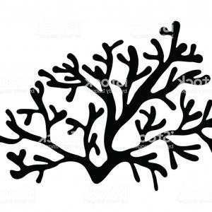 300x300 Red Algae Silhouette Vector Symbol Icon Design Beautiful - Red Algae Drawing