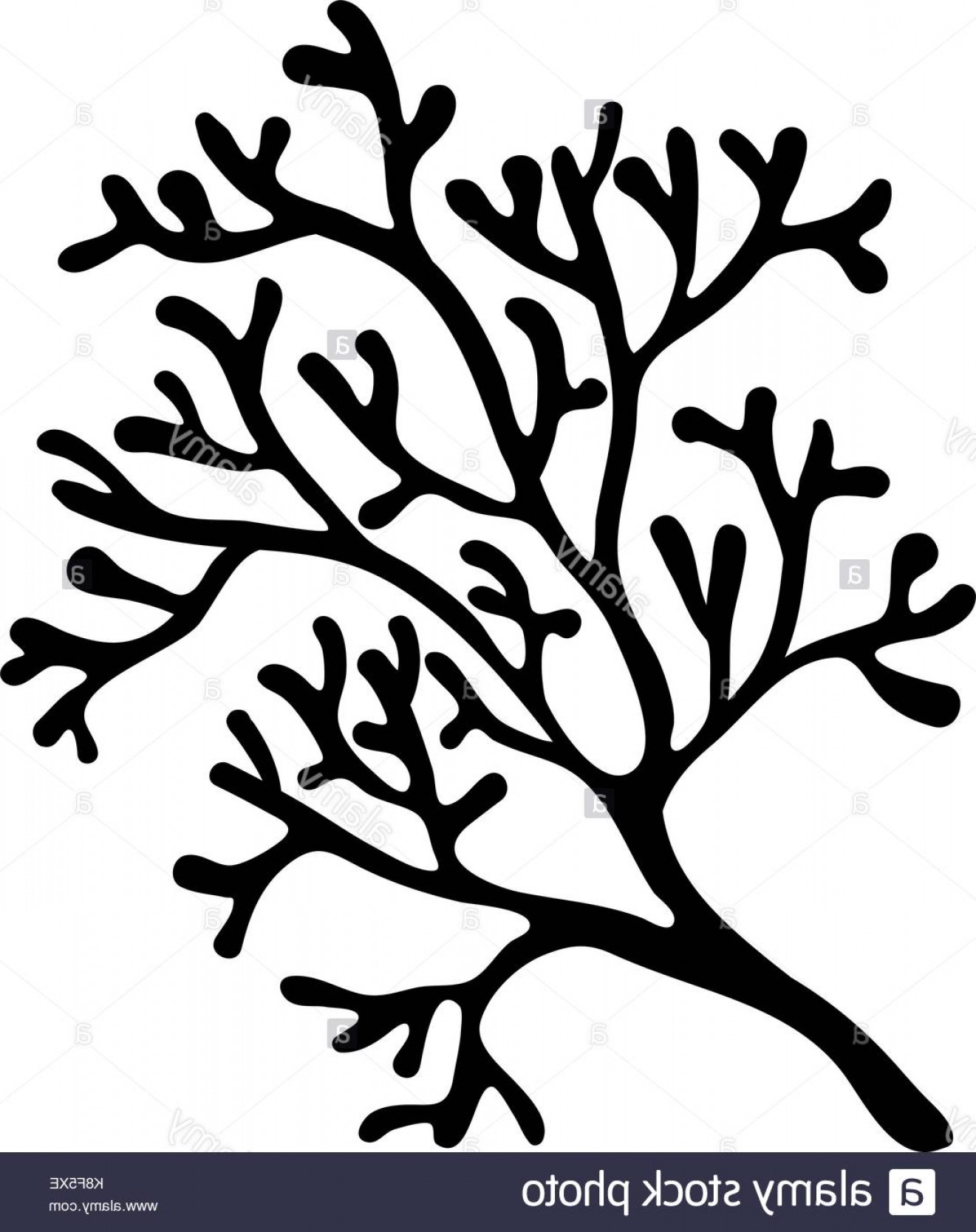 1321x1668 Stock Image Red Algae Silhouette Vector Symbol Icon Design - Red Algae Drawing