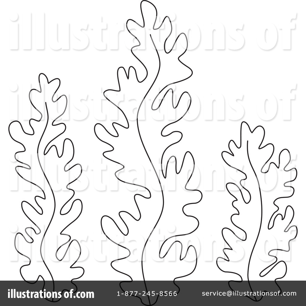1024x1024 Algae Drawing Line For Free Download - Red Algae Drawing