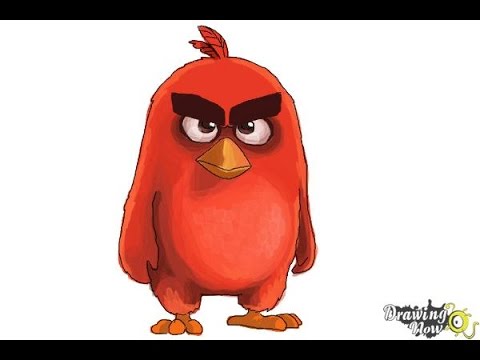 480x360 How To Draw Red From The Angry Birds Movie - Red Angry Bird Drawing
