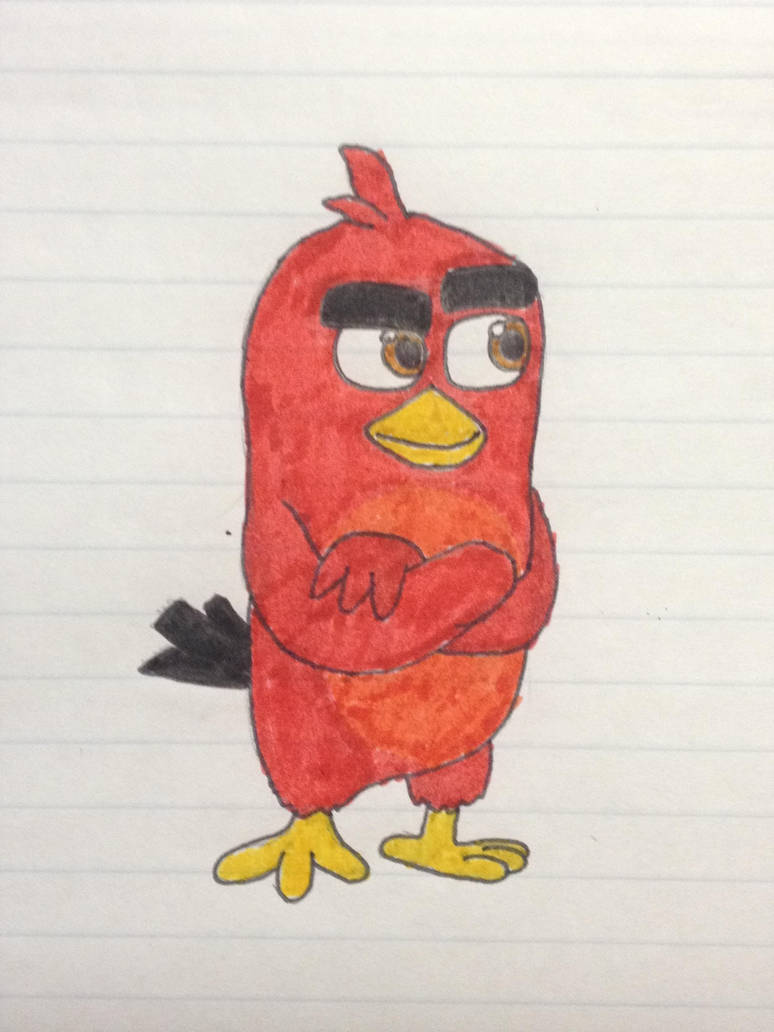 774x1032 Red - Red Angry Bird Drawing