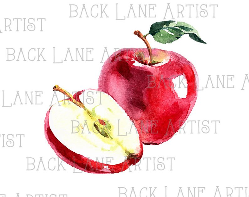794x630 Fruits Red Apple Watercolor Drawing Clipart Lineart Etsy - Red Apple Drawing
