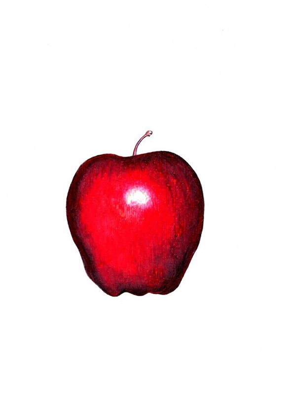 570x837 Shiny Red Apple Art Print Of A Drawing Available Or Etsy - Red Apple Drawing