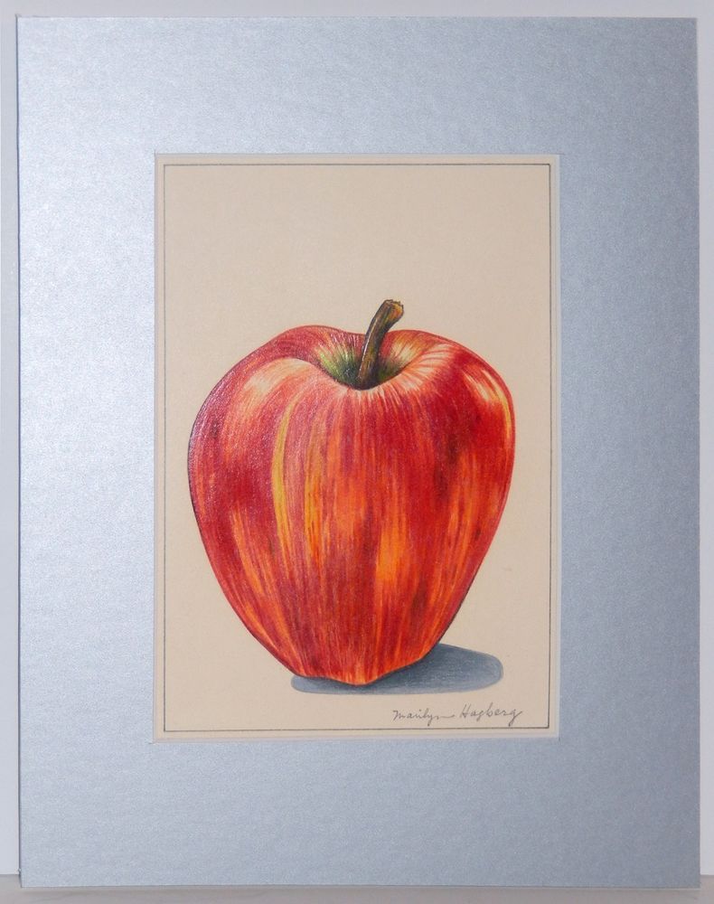 790x1000 Details About Red Apple Oil Pencil Drawing Original Signed Marilyn - Red Apple Drawing