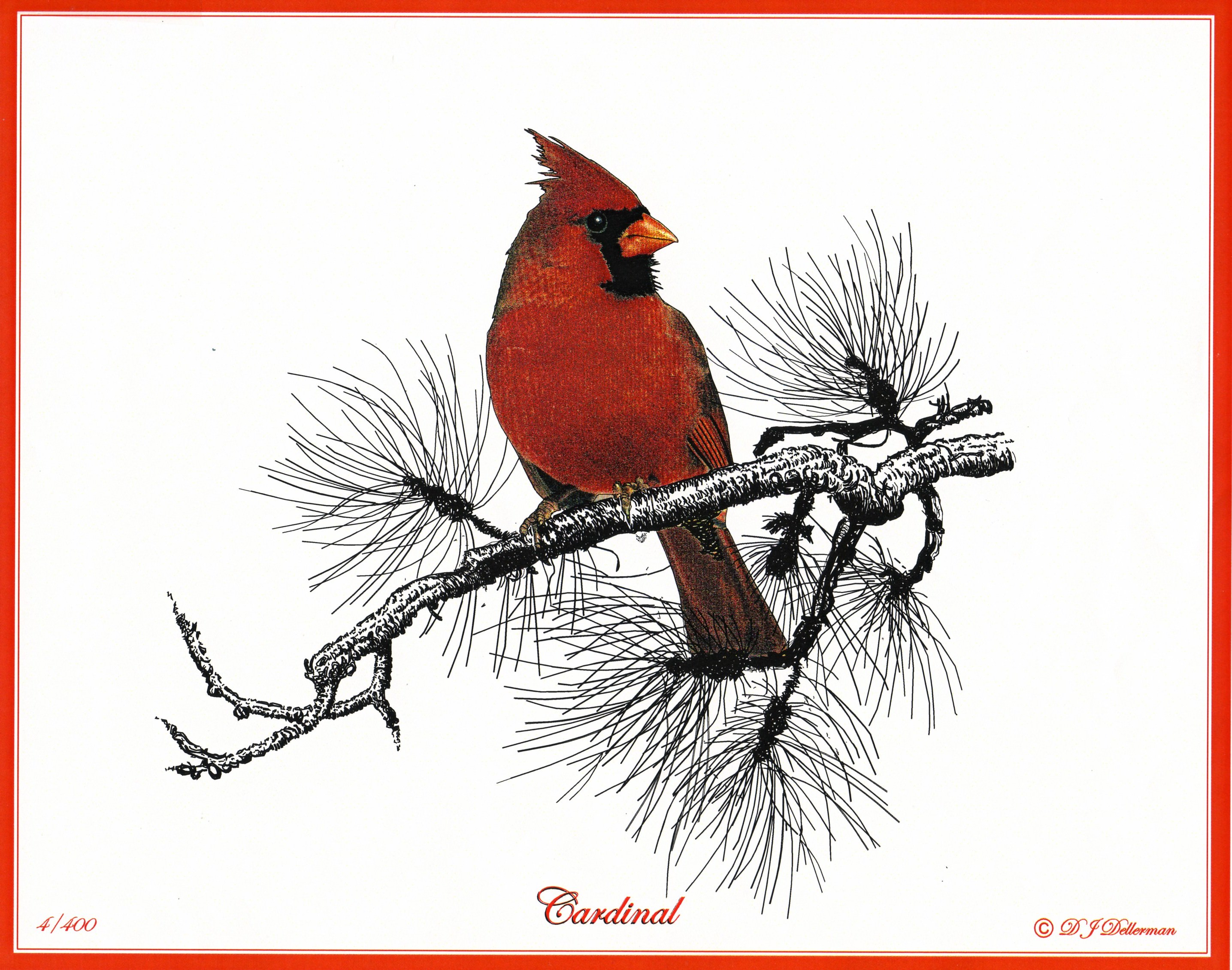 Red Bird Drawing at Explore collection of Red Bird