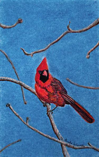 375x594 Red Cardinal Drawing - Red Bird Drawing