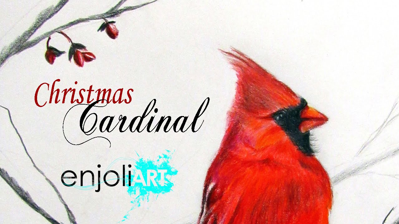 1280x720 Christmas Red Cardinal Speed Drawing - Red Bird Drawing