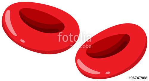 500x272 Close Up Red Blood Cells Stock Image And Royalty Free Vector - Red Blood Cell Drawing