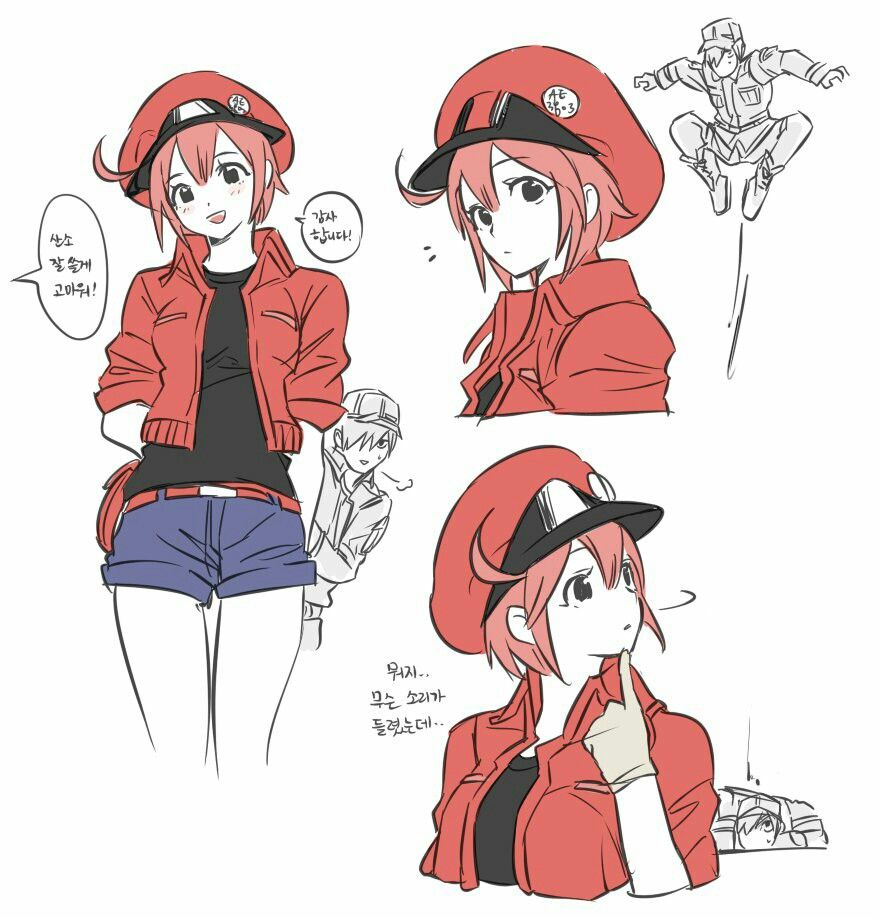 879x918 Hataraku Saibou Red Blood Cell - Red Blood Cell Drawing