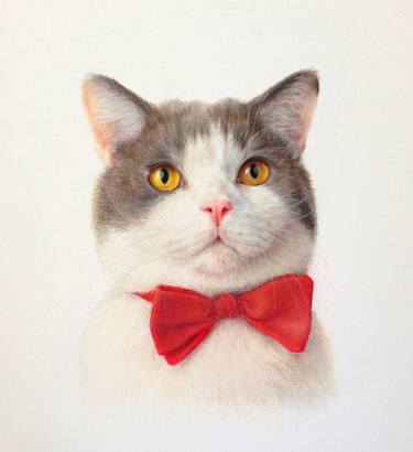 375x410 Cat With Red Bow Tie Framed Art - Red Bow Drawing