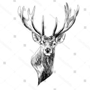 300x300 photostock vector red bull mascot character or sports mascot ready - Red Bull Logo Drawing