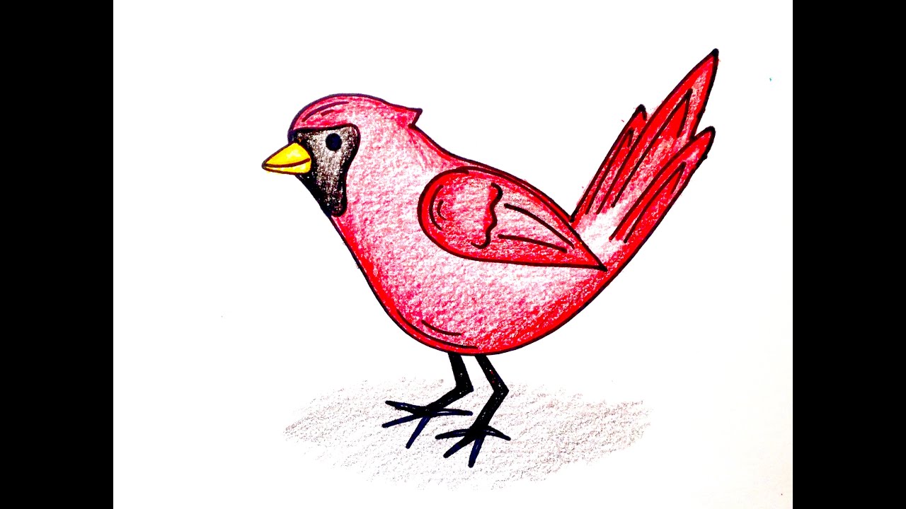 1280x720 drawing lesson how to draw a cardinal - Red Cardinal Drawing