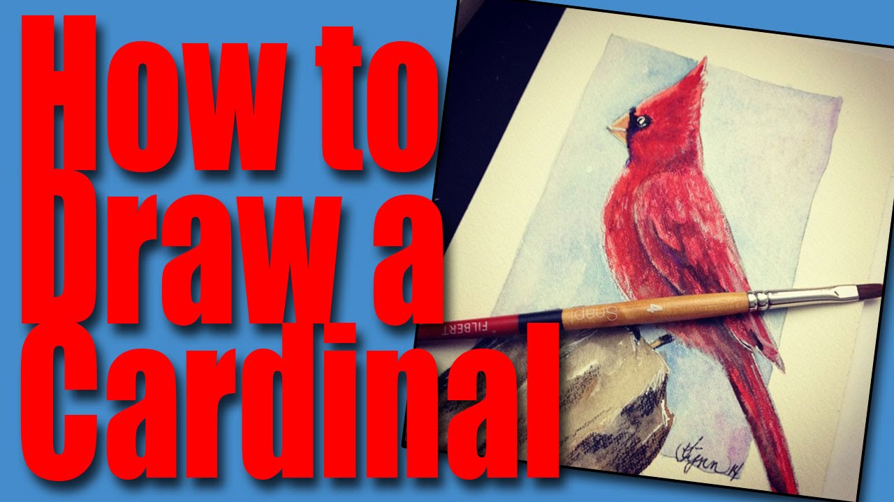 1280x720 how to draw a cardinal - Red Cardinal Drawing