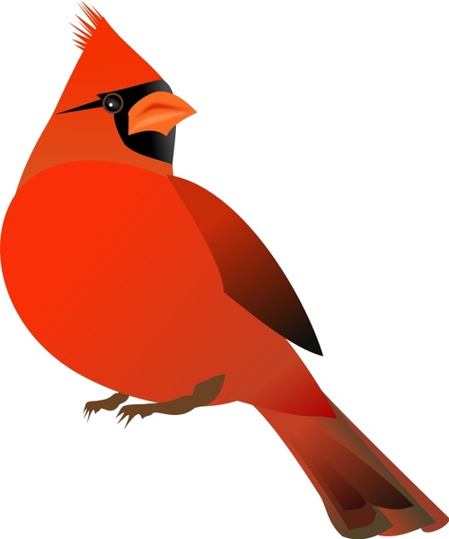 500x600 red cardinal free vector in open office drawing - Red Cardinal Drawing