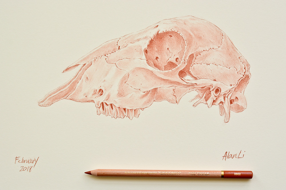 1000x667 koh i noor red chalk pencil review alan li - Red Chalk Drawing