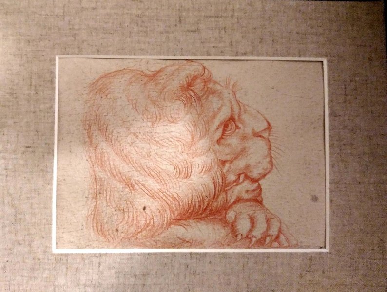 794x600 magnificent antique drawing of a lion in red chalk on old etsy - Red Chalk Drawing
