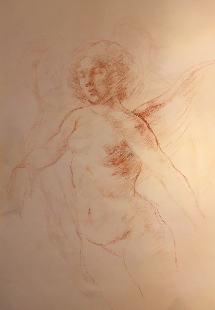 694x1000 rare signed original red chalk drawing peter wardle - Red Chalk Drawing