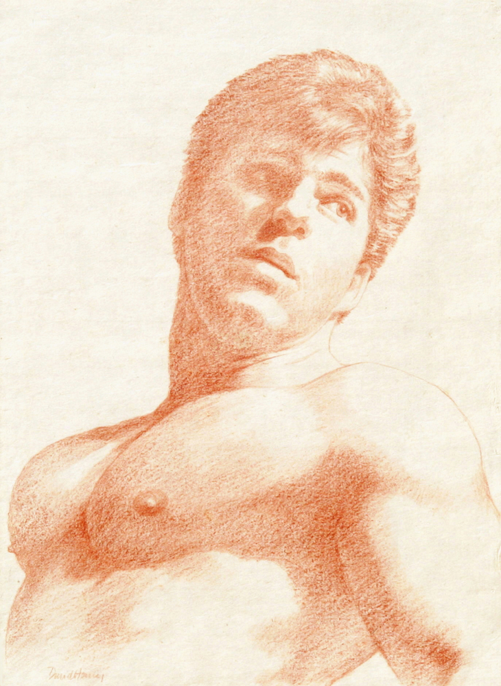 730x1000 filered chalk drawing - Red Chalk Drawing