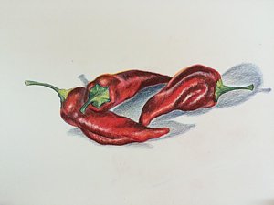 300x225 chili drawings fine art america - Red Chili Drawing